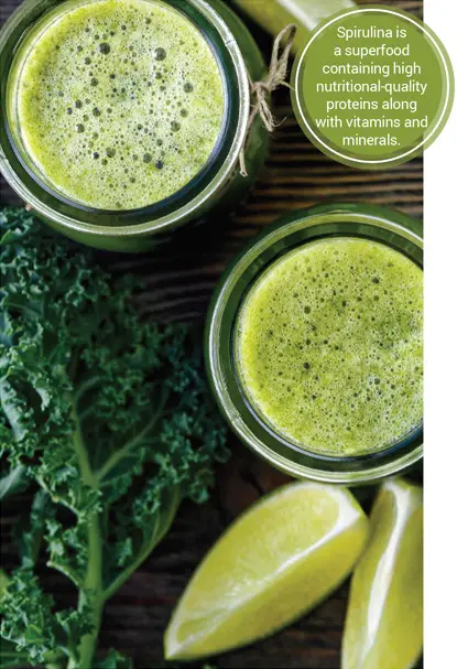 Cilantro Mango Lime Cleanse Cover