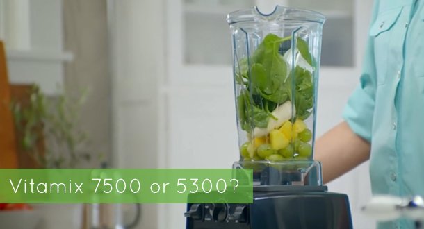 vitamix 7500 vs 5300